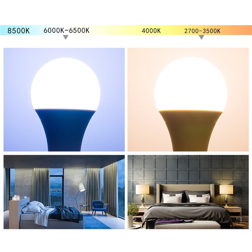 B22 E27 LED Globe Bulb Cool White 40W/60W/100W Light Energy Saving - Picture 7 of 9