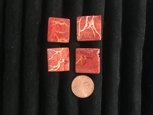 Square Sponge Coral