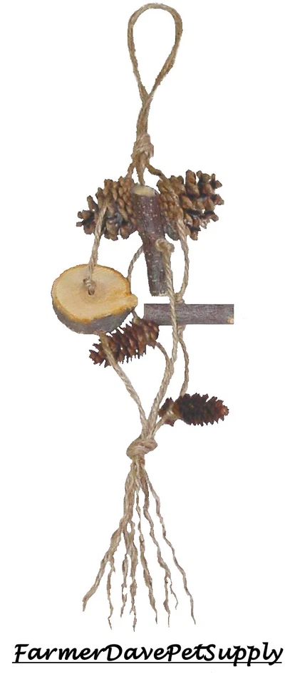 FARMERDAVEPETSUPPLY APPLE WOOD & PINE CONE CHEW TOY Rabbit, Guinea Pig,Chinchilla
