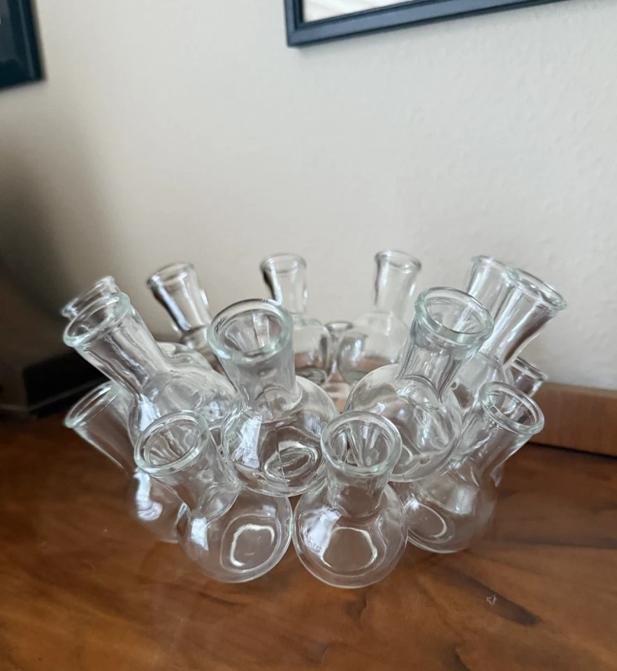 Jarrón vintage de 18 botellas con anillo en racimo estación de propagación de plantas flor rana brote Foto 3 de 4