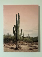 Saguaro cactus canvas picture, 18x24x1.25", wall art