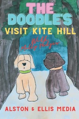 The Doodle's Visit Kite Hill: With ..., Alston, Mr Chri