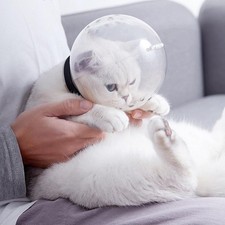 Breathable Cat Muzzle Mask Anti Bite Clear Protective Hood Mask for Grooming