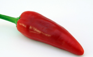 35 700 graines piment rouge jalapeno fort legumes potager plantes ebay ebay