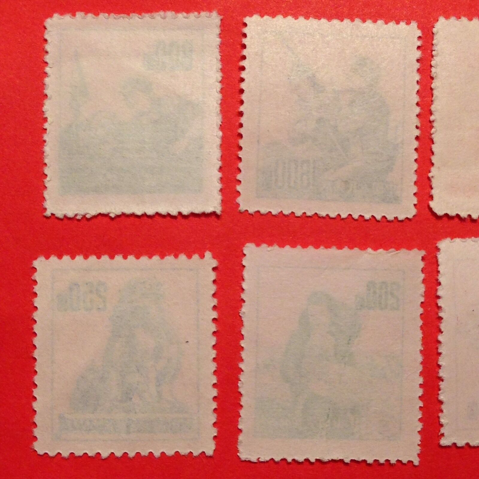 Picture 5 of 6