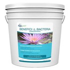Aquascape Beneficial Bacteria for Ponds - 7 lbs 98950