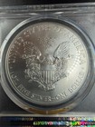 American Silver Eagle PCGS MS69 2015 Premier Strike — photo 4
