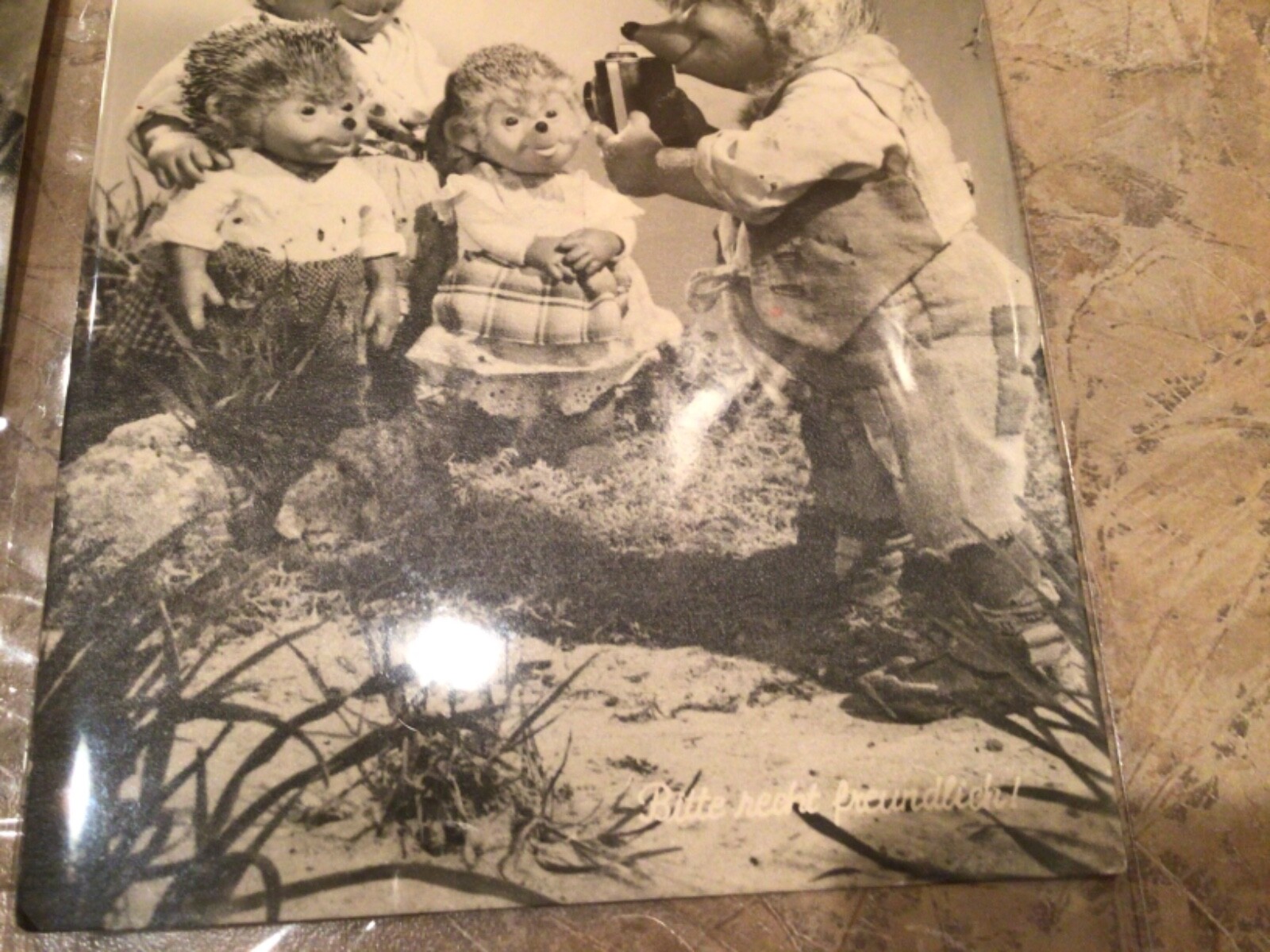 Picture 5 of 11