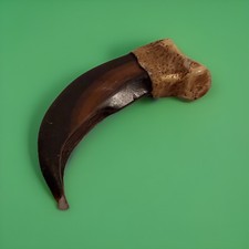Realistic Grizzly Bear Claw Replica Resin Bone Dust Hand Painted Life Size Prop