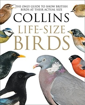 COLLINS LIFE-SIZE BIRDS: THE ONLY GUIDE TO SHOW BRITISH By Paul Sterry & VG