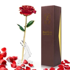 Yolife 24k Gold Dipped Real Rose Lasted Forever with Transparent Stand, Best ...