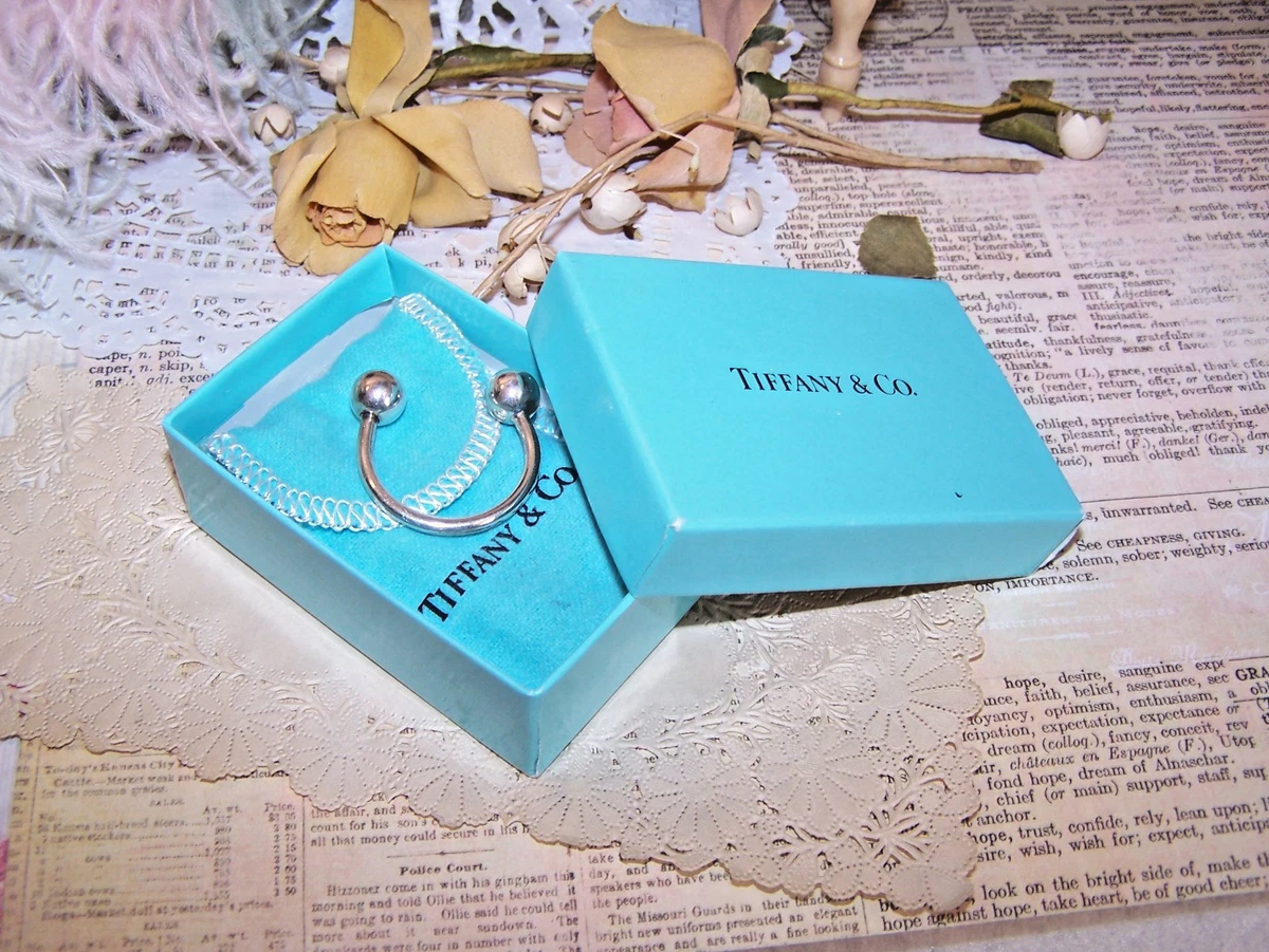 Tiffany & Co. シルバーキーケース Tiffany & Co. Key Chains, Rings & Cases for Men for sale | eBay