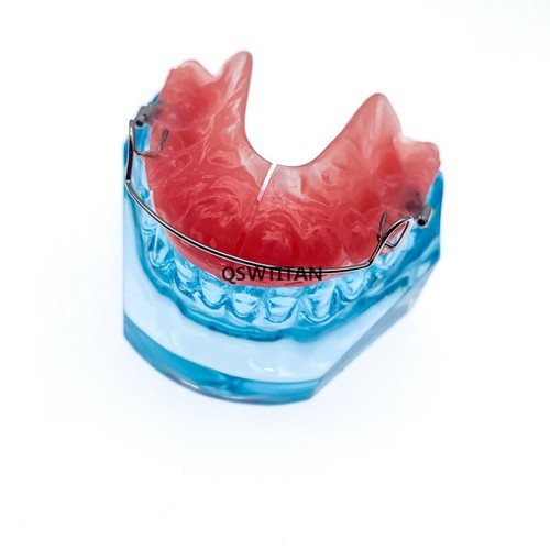 Dental Functional Orthopedic Bionator Removable Teeth Model 3006 Teach Study - Picture 4 of 7