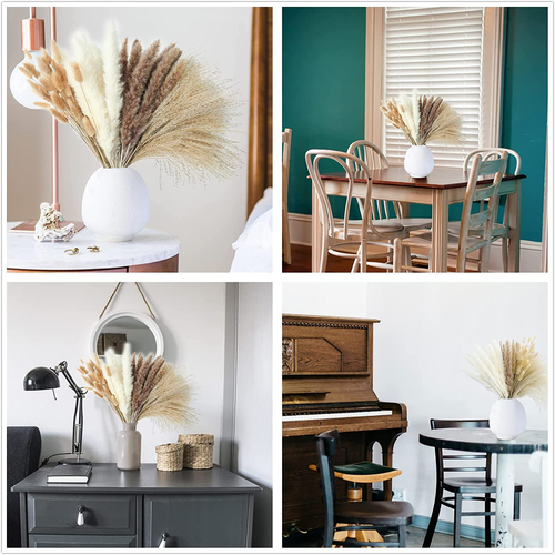 Dried Pampas Grass Stems, 100 Stems, 17" White and Brown, Rustic Decor - Picture 6 of 12