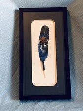 Hand Painted Large FEATHER with BUFFALO HEAD PORTRAIT Artist Signed LA Framed