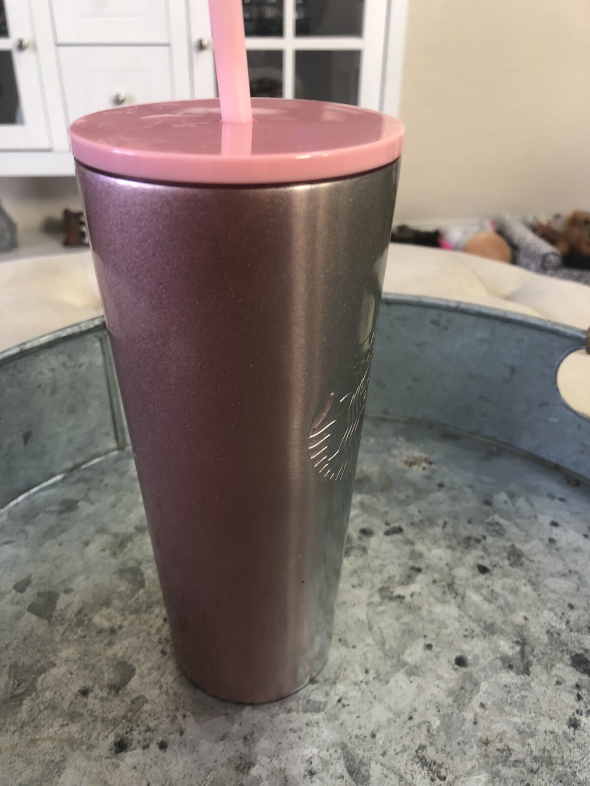 Starbucks Holiday 2020 Stainless Steel Pink Green Gradient Ombre