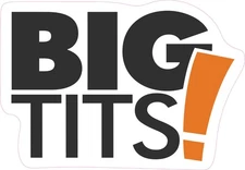 Big Tits Boobs Jugs Big Lots Parody Funny Hard Hat Vinyl Bumper Sticker Decal