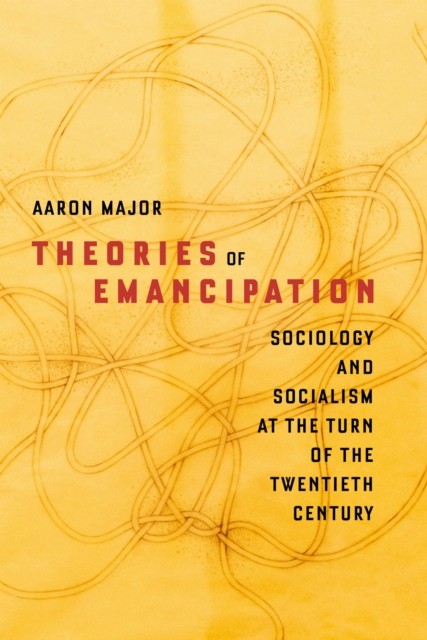 Theories Of Emancipation : Sociology And - Image 2