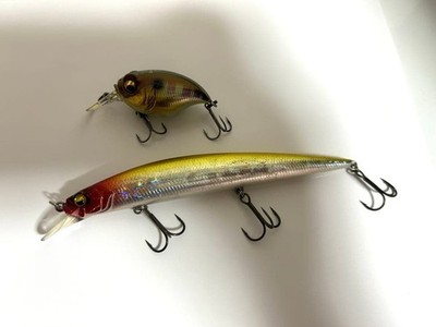 Raid Japan Level Minnow Megabass Griffon