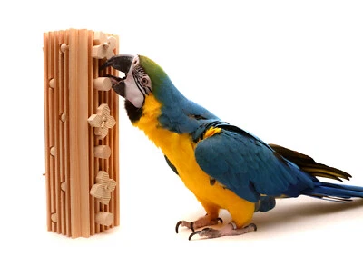PARROT WIZARD Activity Block - Large Bolt-On Parrot Toy for Macaws and Large Parrots
