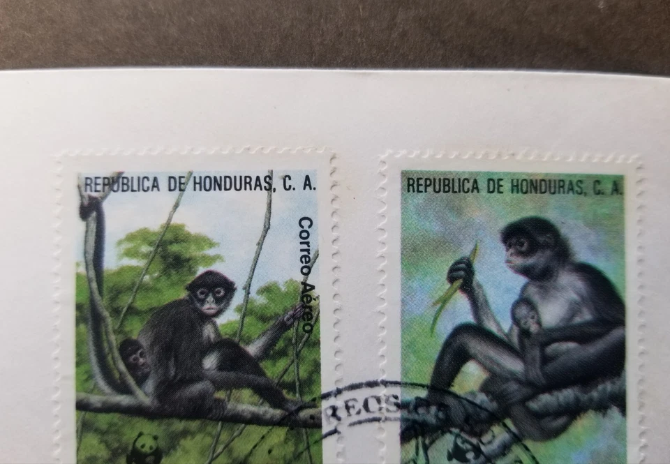 [SJ] Honduras WWF Geoffroy Spider Monkey 1990 Wildlife Fauna (FDC) *see scan - Image 2 of 4