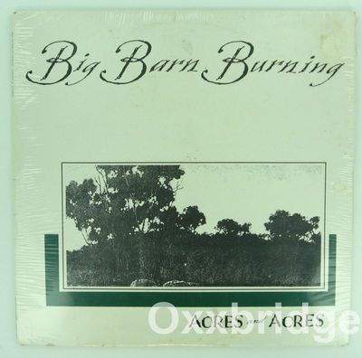 BIG BARN BURNING Acres And SEALED Original 1988 PUNK w/Irish Melody BOSTON LP
