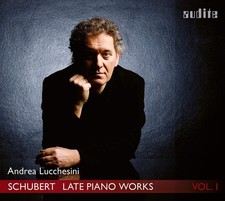 Franz Schubert Schubert: Late Piano Works - Volume 1 CD Album