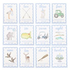 Blue Gingham Baby Monthly Milestone Cards Photo Props Memories 1 PCS
