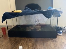 Glass Reptile Terrarium Tank Enclosure with Black Base and Rock Decor Habitat