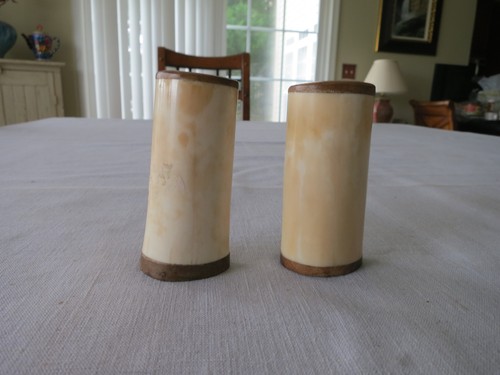 Salt and Pepper Shakers Made From Bone/Horn - Afbeelding 1 van 8