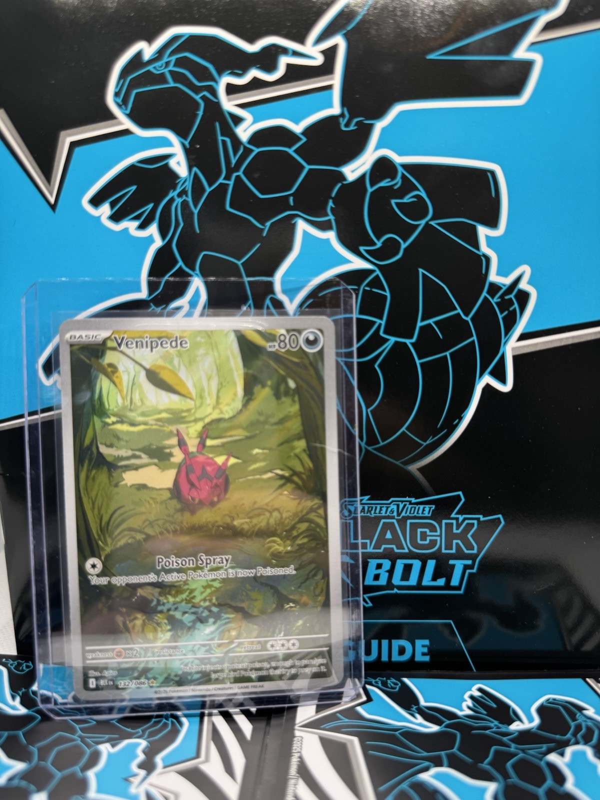 Venipede 132/086 MINT/NEW Illustration Rare Sv: Black Bolt Holo Pokemon 2025 TCG