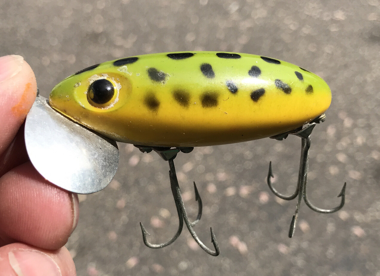 Vtg Fred Arbogast Hula Popper Box And Frog Colored Jitterbug Lure