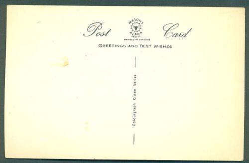DRESSED CAT POSTCARD - MASONS ALPHA SERIES - No. 9-"A CLEAN SWEEP" - Foto 2 di 2