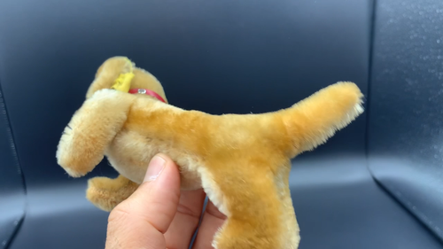 1950's German Steiff Mohair Hexie Dachshund Dog Button Flag Red Leather Collar - Video 1 of 1
