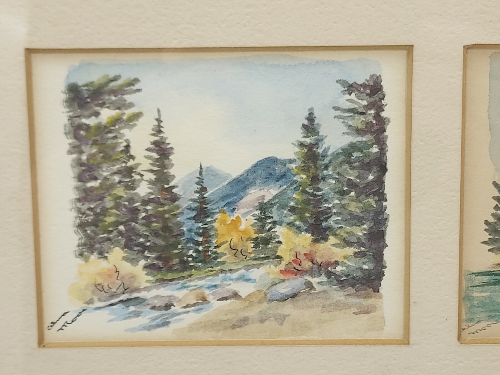 Picture 2 of 12