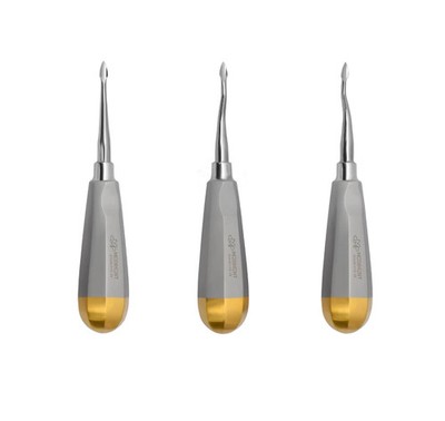 Dental Surgery Root Elevator Bernard Spade 60 Root Extraction Set of 3