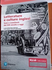 Manuale-Letterature e culture inglesi-temi e contesti dal XIX sec., Vallerani N.