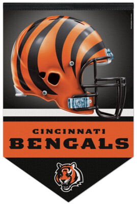 Cincinnati Bengals Watch Giants Football CINCINNATI BENGALS NFL