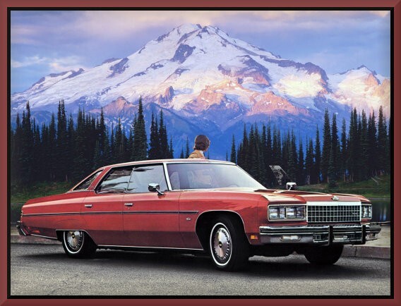 1976 Chevrolet Caprice Classic sedan, Toolbox - Refrigerator