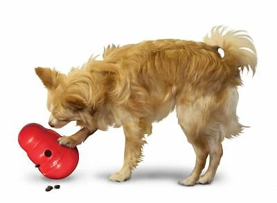 Round kong on sale dog toy
