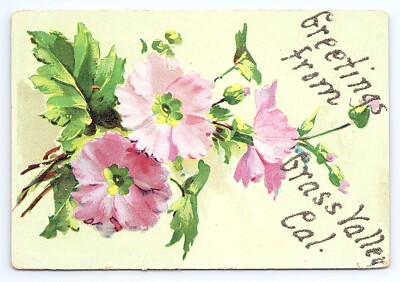 Postcard Greetings From Grass Valley California CA Glitter Mica Embossed