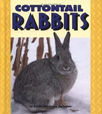 Cottontail Rabbits Library Binding Kristin Ellerbusch Gallagher