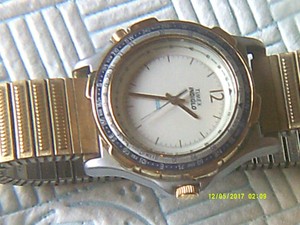 timex 376 ma cell