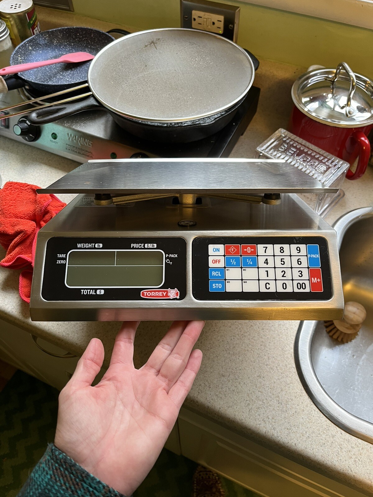 Small Scale Torrey PC80 X Lb Price Computing Deli Meat Scale