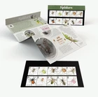 GB 2024 MINT & FDC SPIDERS PRESENTATION PACK STAMPS & FDC *SPECIAL PRICE*
