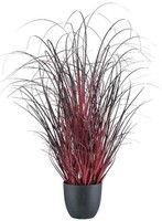 artplants Deko Afrikanisches Lampenputzergras Tunpa Im Dekotopf, Rot, 60Cm