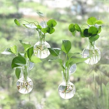 4 pcs Window Propagation Stations, Easy to Install Plant Propagation Bulbs wi...