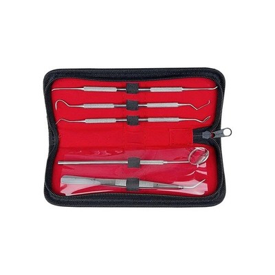 Professional Dental Hygiene Kit Stainless Steel Tooth Cleaning Tools Set W Case