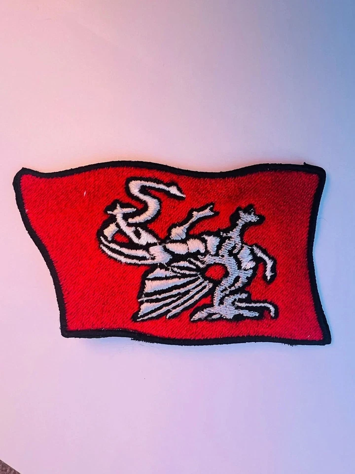 Parche Tommy bordado insignia hierro coser apliques transferencia chaqueta jeans sombrero bolso Foto 4 de 4