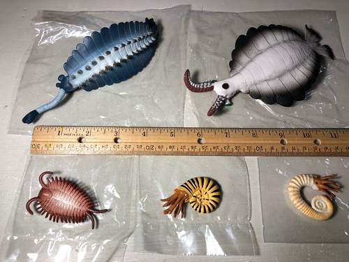 10 Prehistoric Ancient Marine Creature Animal Figures Cambrian Sea TOYMANY - Picture 4 of 7